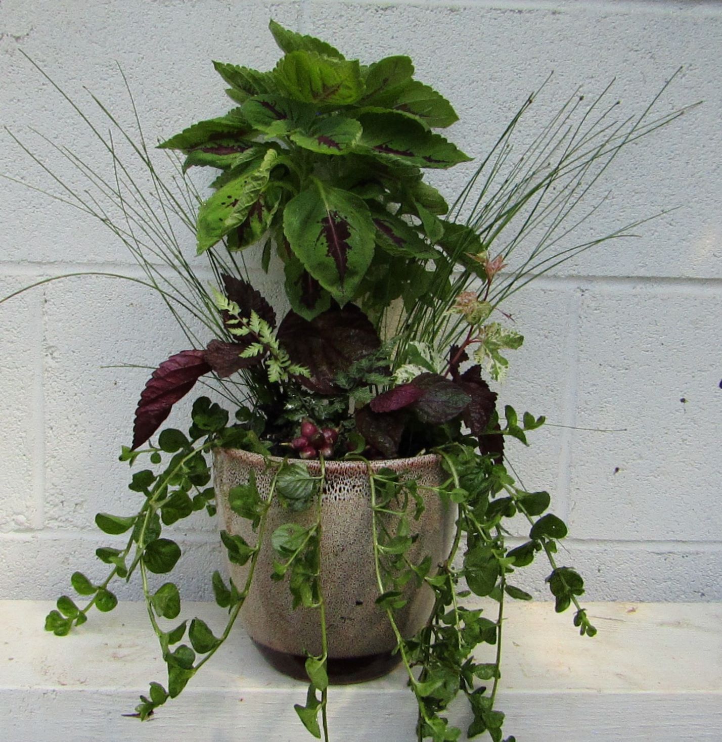 weed pot