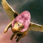 viccles