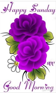 167c59248e995c0970f80034ce0563ee