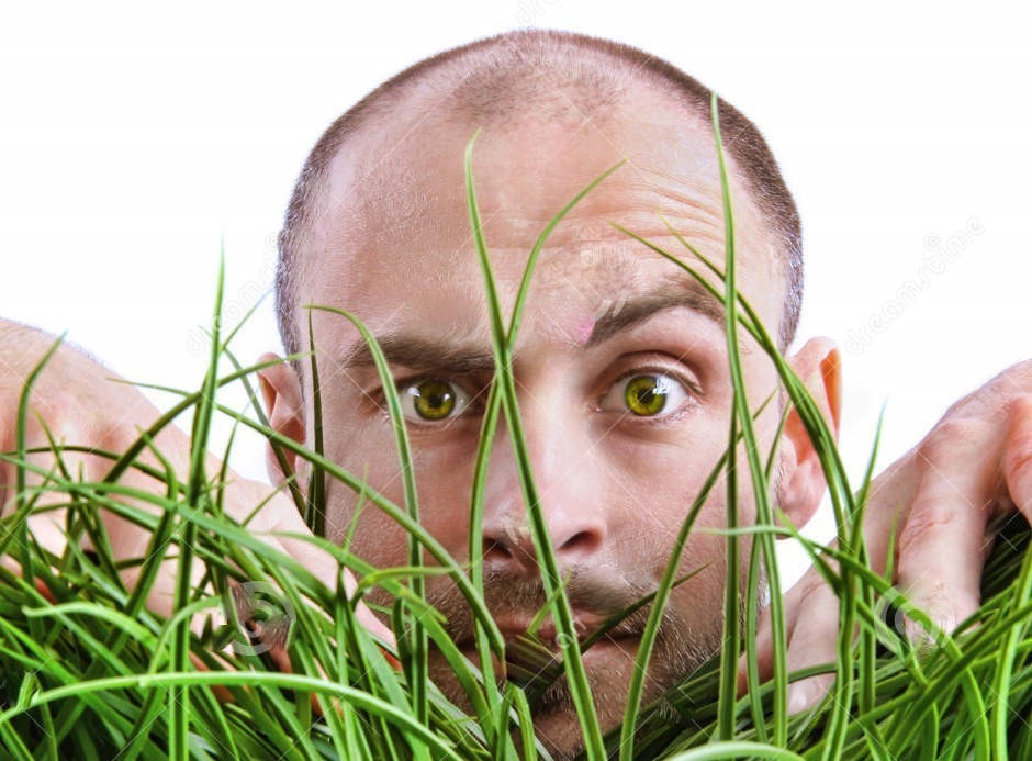 man-peering-tall-grass-14311825.jpg