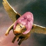 Profile picture of viccles