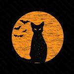 Profile picture of Suzi